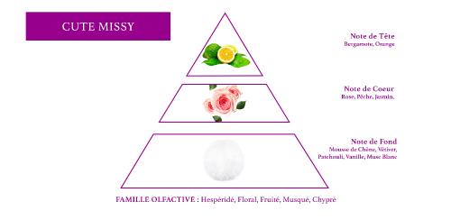 olfactive pyramid woman chypre perfume 20% concentrated fragance