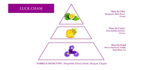 olfactive pyramid woman chypre fragrance