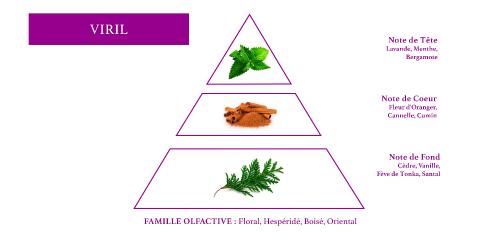 olfactive pyramid men oriental fragrance