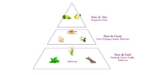olfactive pyramid unisex oriental perfume