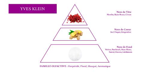 olfactive pyramid men aromatic fragrance