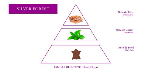 olfactive pyramid unisex chypre perfume