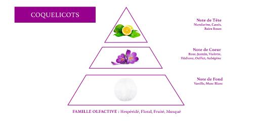 pyramide olfactive parfum femme fleurie concentré 20%