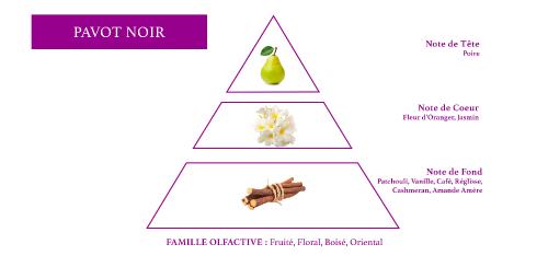 pyramide olfactive parfum femme oriental concentré 20%