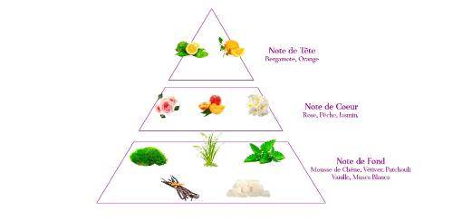 pyramide olfactive parfum femme chyprée
